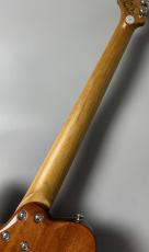 Bacchus TAC24AD-FMH RSM/M -Blue Burst-_9