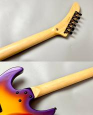 Edwards E-Purple TIGER -Purple Tiger Graphic- #ED6700253 【GEORGE LYNCH】_9