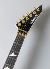 Edwards E-ALEXI ARROW HEAD  【アレキシ】【アローヘッド】【3.40kg】_5