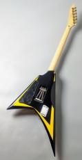 Edwards E-ALEXI ARROW HEAD  【アレキシ】【アローヘッド】【3.40kg】_6
