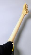 Edwards E-ALEXI ARROW HEAD  【アレキシ】【アローヘッド】【3.40kg】_8