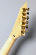 Edwards E-ALEXI ARROW HEAD  【アレキシ】【アローヘッド】【3.40kg】_9