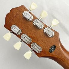 Epiphone Les Paul Standard 50s Plain Top  Inverness Green #24121524253 ≒3.93kg_5