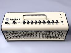 YAMAHA YAMAHA THR30? Wireless_2