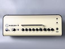 YAMAHA YAMAHA THR30? Wireless_3