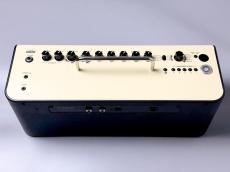 YAMAHA YAMAHA THR30? Wireless_4