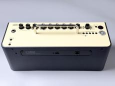 YAMAHA YAMAHA  THR10?Wireless_4