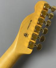 Fender 75th Anniversary American Professional II Custom Telecaster -2 Tone Sunburst- #US25096819_10