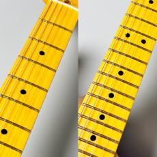 Fender American Professional Classic Stratocaster -Faded Firemist Gold- #US25087776【3.44kg】_4