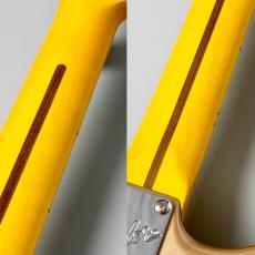 Fender American Professional Classic Stratocaster -Faded Firemist Gold- #US25087776【3.44kg】_7