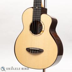 aNueNue aNN-UB200_2