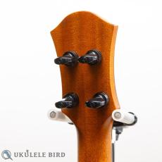aNueNue aNN-UB200_7