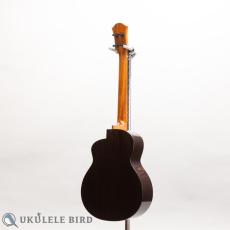 aNueNue aNN-UB200_12