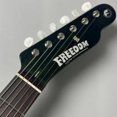 FREEDOM CUSTOM GUITAR RESEARCH C.S. TE Pepper Semi Hollow -Moss Green- #26014170 【甘いサウンド】【当店担当オーダー】_5