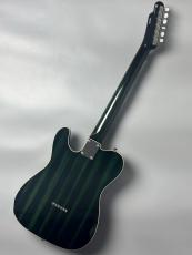 FREEDOM CUSTOM GUITAR RESEARCH C.S. TE Pepper Semi Hollow -Moss Green- #26014170 【甘いサウンド】【当店担当オーダー】_6