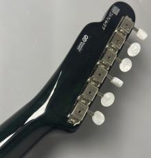 FREEDOM CUSTOM GUITAR RESEARCH C.S. TE Pepper Semi Hollow -Moss Green- #26014170 【甘いサウンド】【当店担当オーダー】_10