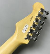 FUJIGEN BCST100RBD-3TS #H240093_10