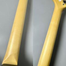 FUJIGEN BCST100RBD-BK #D240283_9