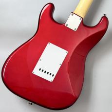 FUJIGEN BCST100RBD-CAR #D240307_7