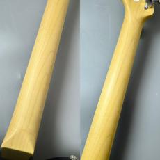 FUJIGEN BCTE100RBD-3TS #D240155 _9