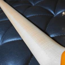 Cort Cort Jeff Berlin Rithimic Natural Glossy_7