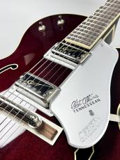 Gretsch G6119T-62 Vintage Select Edition '62 Tennessean? Hollow Body with Bigsby_3