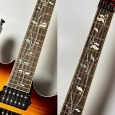 Ibanez RG8570 -Brownish Sphalerite- [3.80kg] #F2427104_6