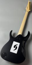 Ibanez PIA3761 XB _8