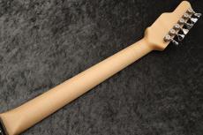 James Tyler USA Studio Elite HD/Ash Body/ Rosewood FB/Black and Blue Shmear Semi Gloss  #25488_10