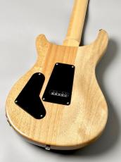 Paul Reed Smith [PRS] SE Custom 24 Slate Blue- #CTI H081744【3.30kg】_4