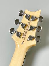 Paul Reed Smith [PRS] SE Custom 24-08 -Turquoise- #CTI G077779【万能サウンド】_6