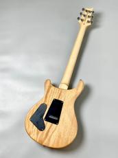 Paul Reed Smith [PRS] SE Custom 24 -Turquoise- #CTIF110715【万能サウンド】_9