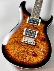 Paul Reed Smith [PRS] SE Custom 24 Quilt Package-Black Gold Sunburst - #CTI F108603 【良杢】【厚いサウンド】