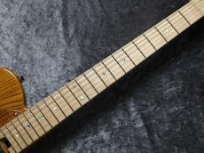 Sago Custom Order Classic Style-T Thinline All 和材 Natural Color 欅Body/板屋楓Neck&FB/ケンポナシPG_9