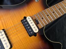 PEAVEY USA / EVH Wolfgang Tobacco Sunburst Flame Maple / Hard Tail_4