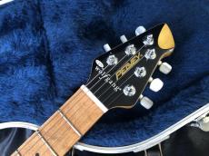 PEAVEY USA / EVH Wolfgang Tobacco Sunburst Flame Maple / Hard Tail_6