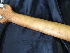 PEAVEY USA / EVH Wolfgang Tobacco Sunburst Flame Maple / Hard Tail_9