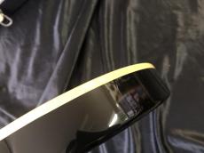 PEAVEY USA / EVH Wolfgang Tobacco Sunburst Flame Maple / Hard Tail_11