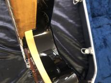 PEAVEY USA / EVH Wolfgang Tobacco Sunburst Flame Maple / Hard Tail_12