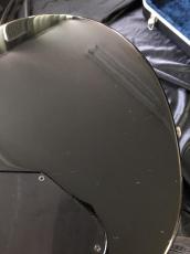 PEAVEY USA / EVH Wolfgang Tobacco Sunburst Flame Maple / Hard Tail_13