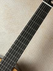 Paco Castillo 【オール単板モデル】240 C シダー×ローズウッド【送料当社負担・最大48回無金利】_4