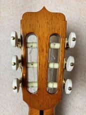 Jose Ramirez 【超美麗中古品!!!】 Sencilla 140 Anos Clasica 2023年製【最大48回無金利】_7