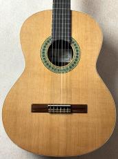 Paco Castillo 【初めてにおススメの1本】201C シダー×サペリ【送料当社負担】