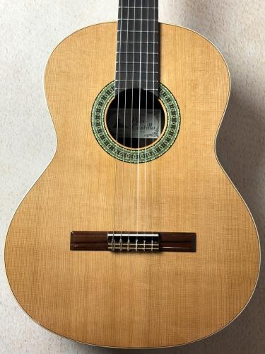 Paco Castillo 【初めてにおススメの1本】201C シダー×サペリ【送料当社負担】