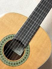 Paco Castillo 【初めてにおススメの1本】201C シダー×サペリ【送料当社負担】_3