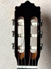 Paco Castillo 【初めてにおススメの1本】201C シダー×サペリ【送料当社負担】_5