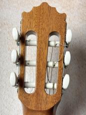 Paco Castillo 【初めてにおススメの1本】201C シダー×サペリ【送料当社負担】_6