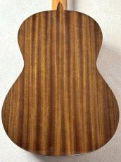 Paco Castillo 【初めてにおススメの1本】201C シダー×サペリ【送料当社負担】_8