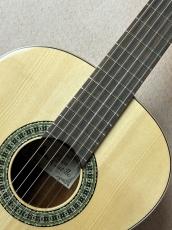 Paco Castillo 【初めてにおススメの1本】201S スプルース×サペリ【送料当社負担】_3