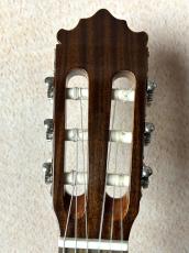 Paco Castillo 【初めてにおススメの1本】201S スプルース×サペリ【送料当社負担】_5